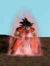 goku3.jpg (59711 byte)