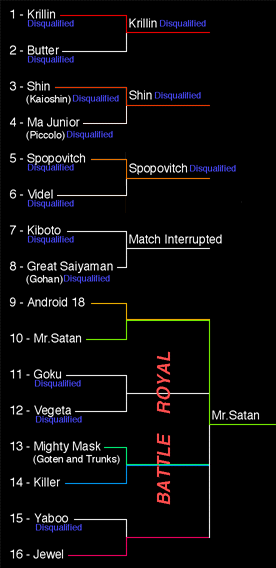 25° Torneo Tenkaichi - Sezione adulti