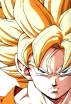 gokufaccia2.gif