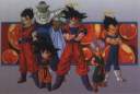 dbzgruppotutti110.jpg