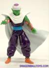 piccolo.jpg